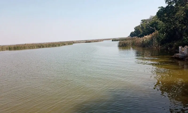 A view of Haleji Lake in Sindh. &mdash; Photo by author
