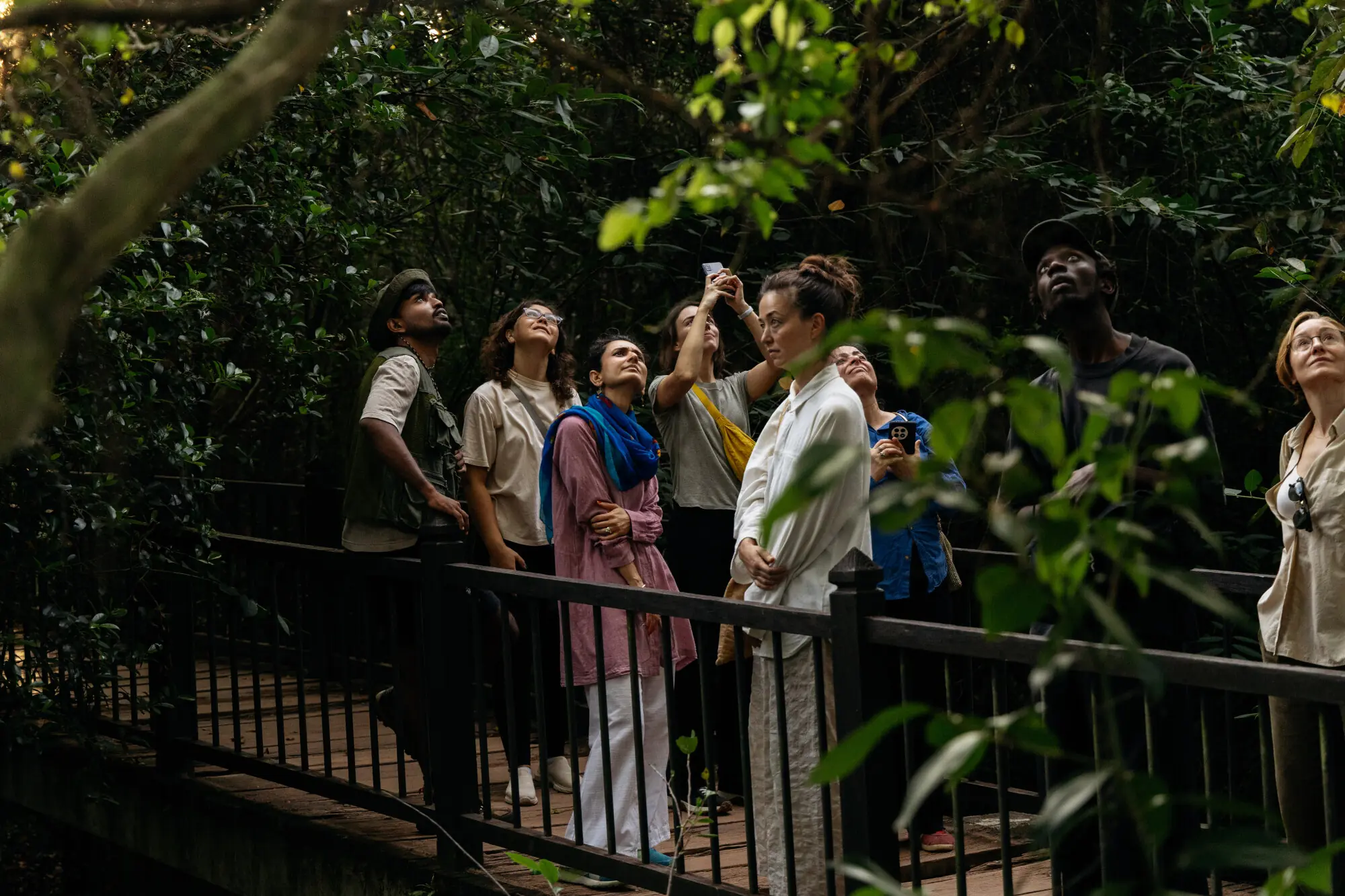 The wetland walk. Photo: Ryan Wijayaratne
