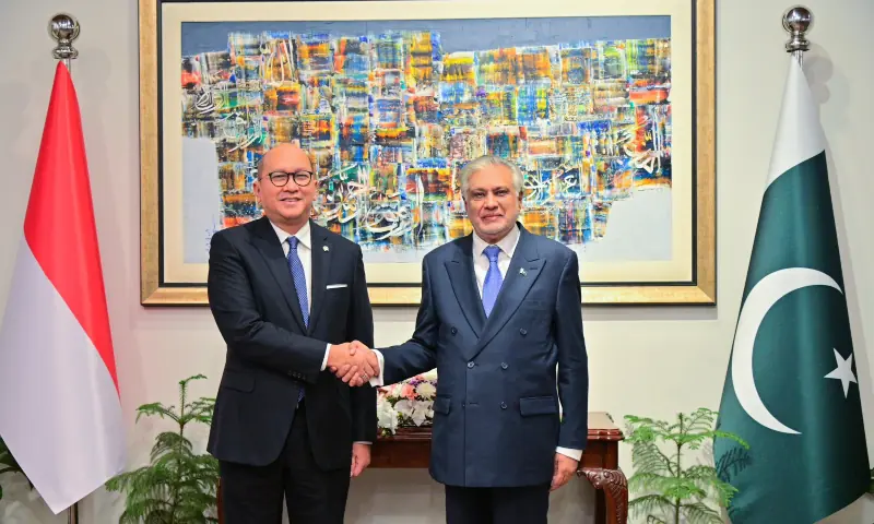 Deputy Prime Minister Ishaq Dar and Indonesia’s investment minister Rosan Roeslani shake hands in Islamabad on Feb 10, 2026. — X/ForeignOfficePk Deputy Prime Minister Ishaq Dar and Indonesia’s investment minister Rosan Roeslani shake hands in Islamabad on Feb 10, 2026. — X/ForeignOfficePk