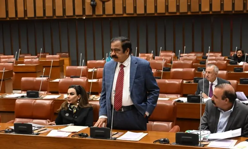 Prime Minister&rsquo;s Advisor on Political and Public Affairs Rana Sanaullah is pictured speaking in the Senate on Feb 12, 2026. &mdash; Photo courtesy Senate Facebook