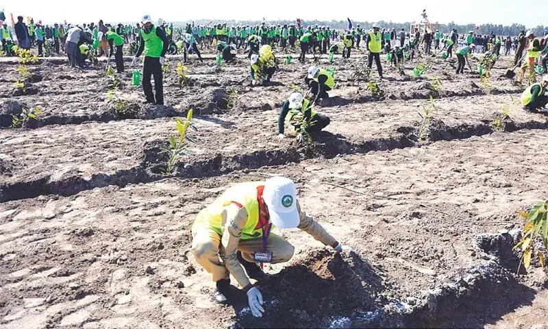 In this 2019 file photo, schoolchildren plant saplings in connection with the 10 billion trees tsunami project at Baloki Nature Reserve Project. &mdash; APP/File