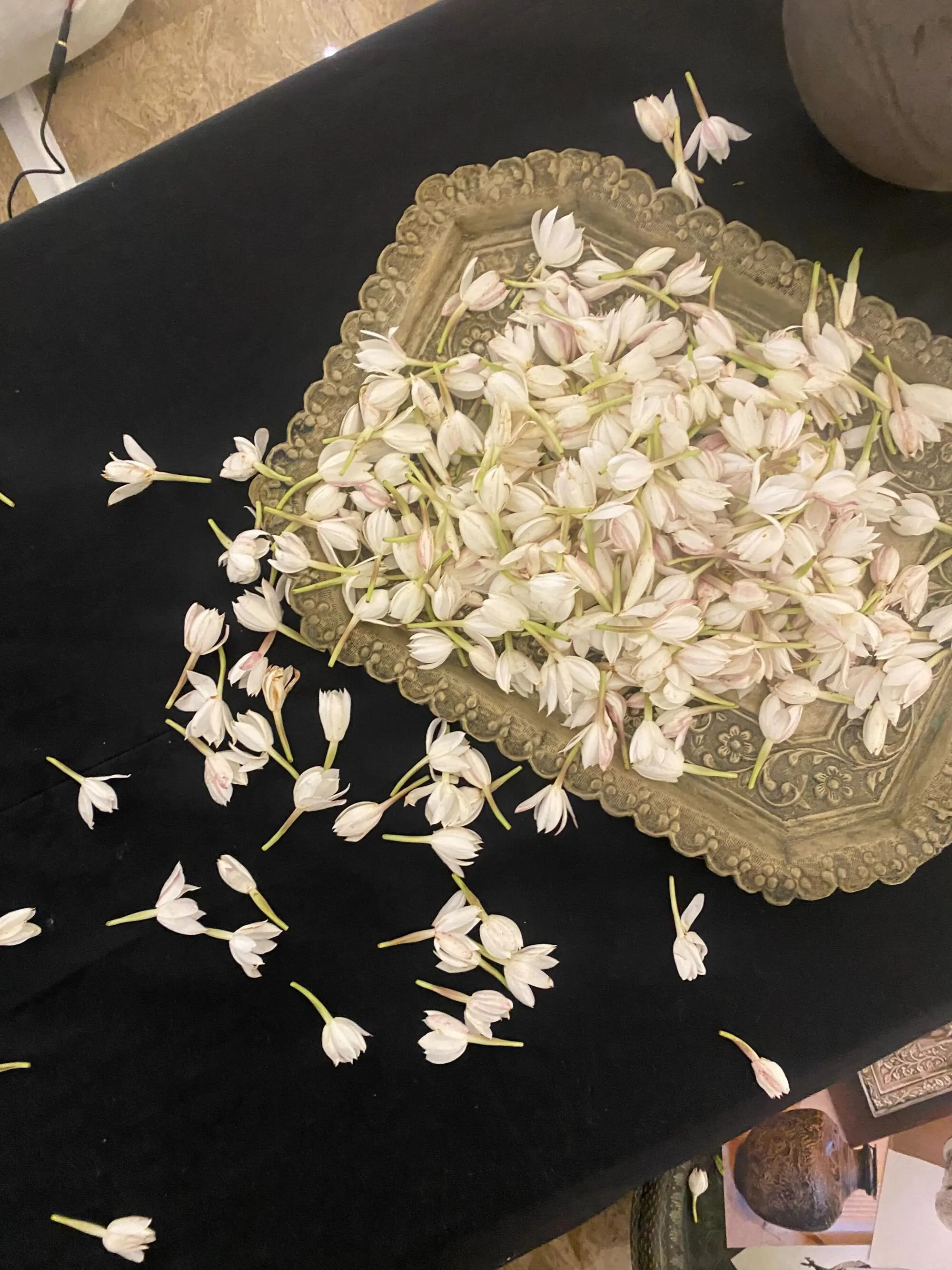  Meher Afroz&rsquo;s sound installation Meher ki Kahani. Photo:Author 