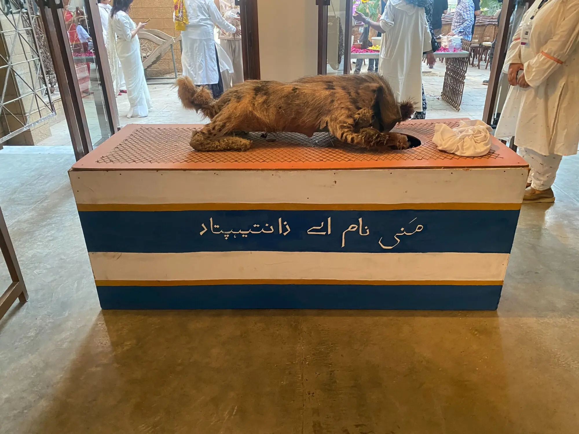  Zantania Iqbal&rsquo;s installation, Zantihyena. Photo: Auhtor 