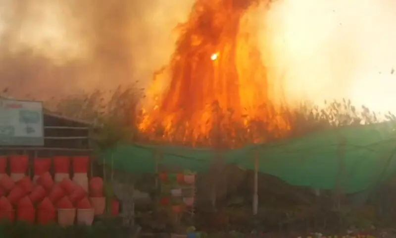 A huge fire erupted in the bushes near the University of Karachi on February 16, 2026. — screengrab via video by author A huge fire erupted in the bushes near the University of Karachi on February 16, 2026. — screengrab via video by author