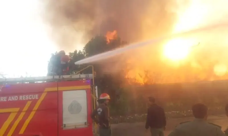 A firefighter extinguishes a fire that erupted in the bushes near the University of Karachi on February 16, 2026. — screengrab via video by author A firefighter extinguishes a fire that erupted in the bushes near the University of Karachi on February 16, 2026. — screengrab via video by author