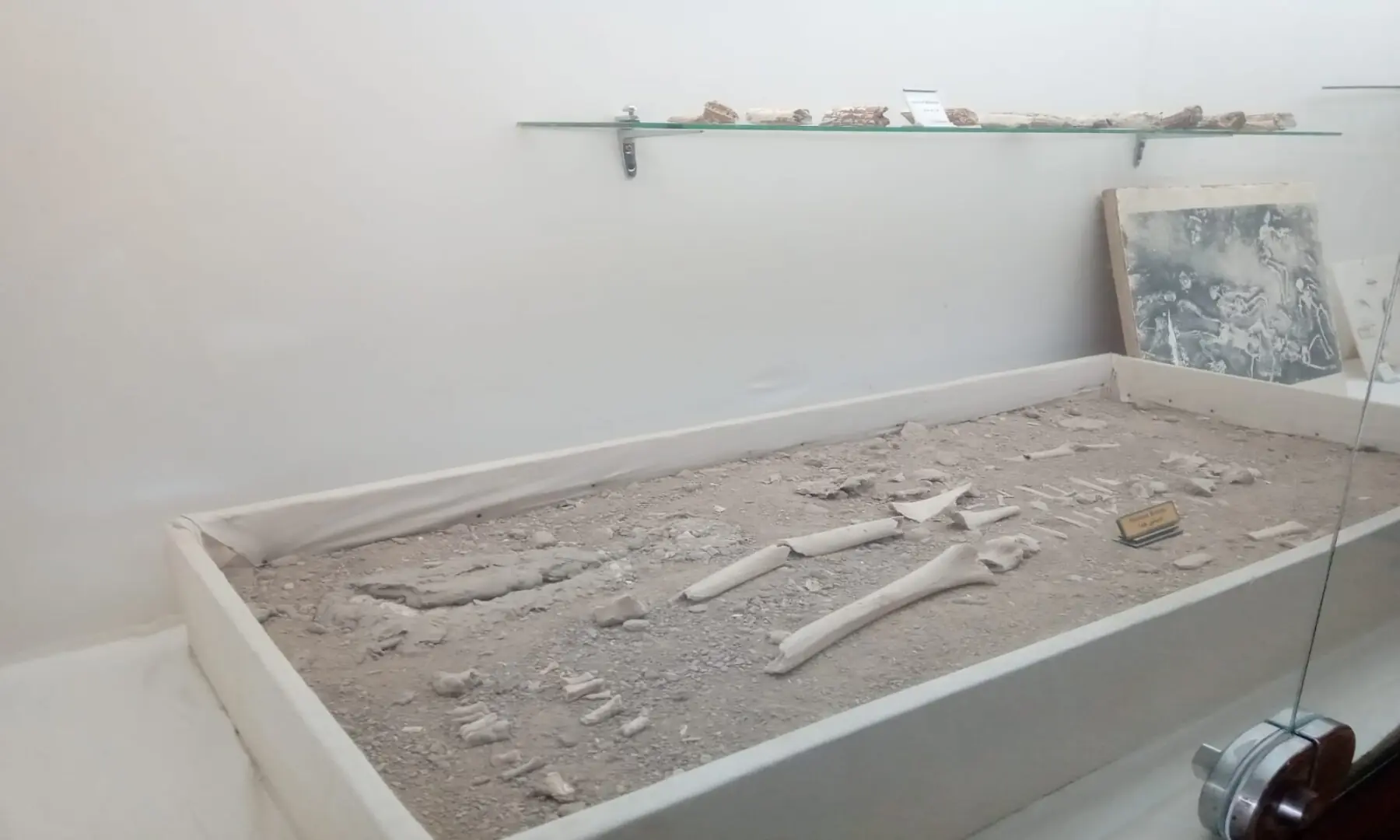 Small fragments of human bones on display at the museum. &mdash; Author