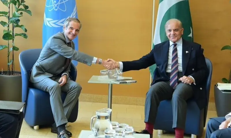 Prime Minister Shehbaz Sharif meets International Atomic Energy Agency Director General Rafael Mariano Grossi at the Vienna International Centre. &mdash; Photo courtesy @GovtofPakistan/X