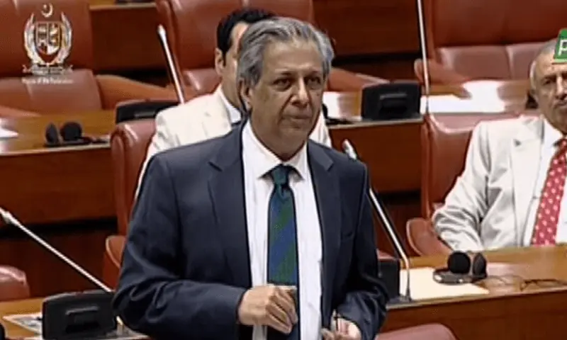 Law Minister Azam Nazeer Tarar speaks in the Senate session on Wednesday. &mdash; DawnNewsTV/File
