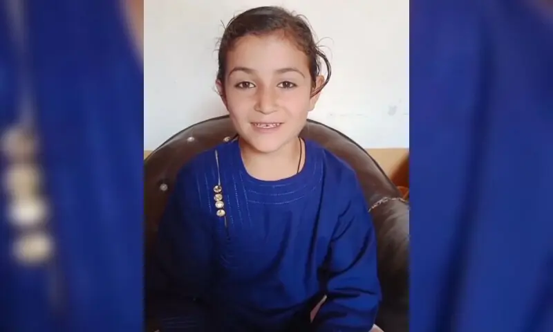 Screengrab from a video provided by the author.