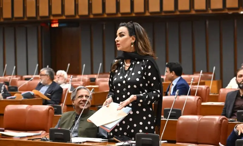 PPP Senator Sherry Rehman speaks in the upper house of Parliament on Monday. &mdash; DawnNewsTV