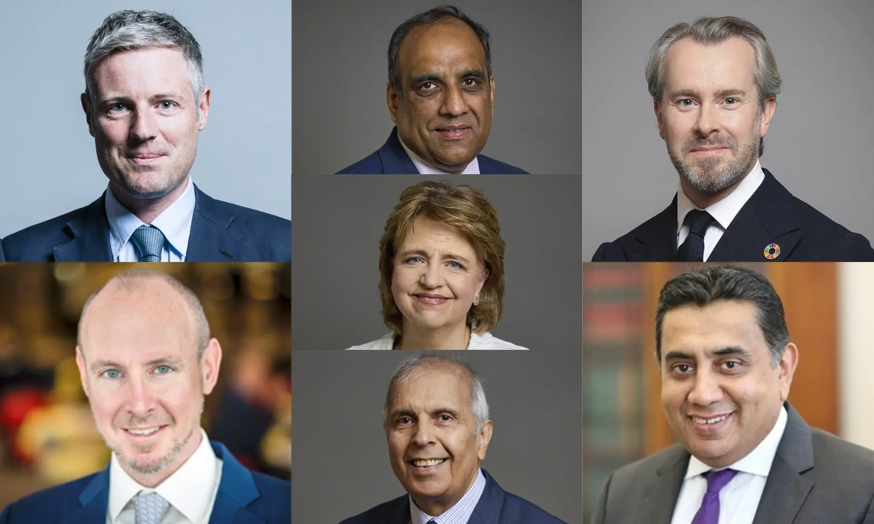 This photo combo shows (clockwise from L) Zac Goldsmith, Shaffaq Mohammed, Jeremy Purvis, Tariq Ahmad, Prem Sikka, Wendy Alexander and Daniel Hannan. &mdash; members.parliament.uk/X