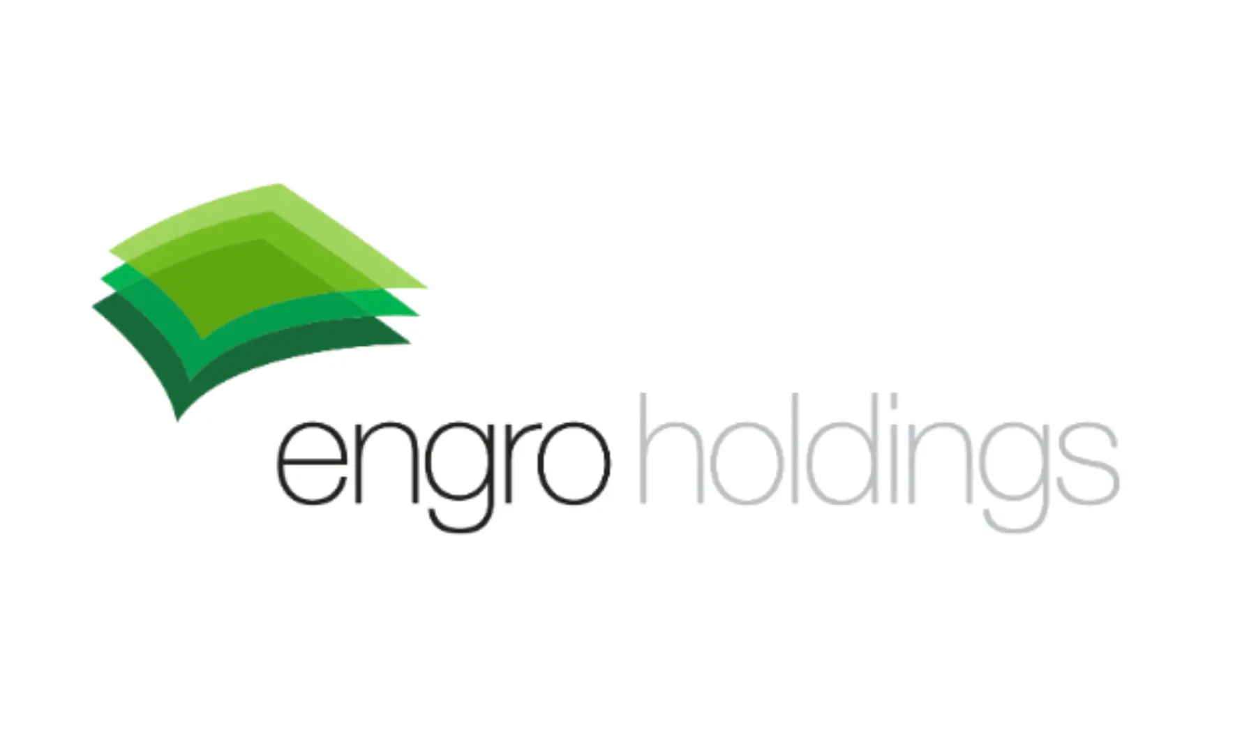 Engro Holdings Limited logo courtesy of their website