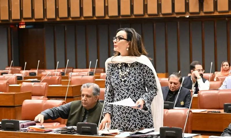 The resolution was tabled by PPP&rsquo;s Senator Sherry Rehman. &mdash; Photo courtesy Senate of Pakistan/Facebook