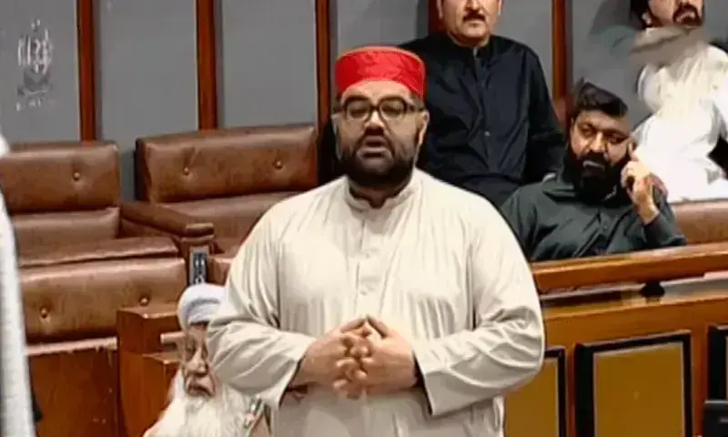 Aimal Wali speaking in the Upper House of Parliament in this undated photo. — Dawn/File Aimal Wali speaking in the Upper House of Parliament in this undated photo. — Dawn/File