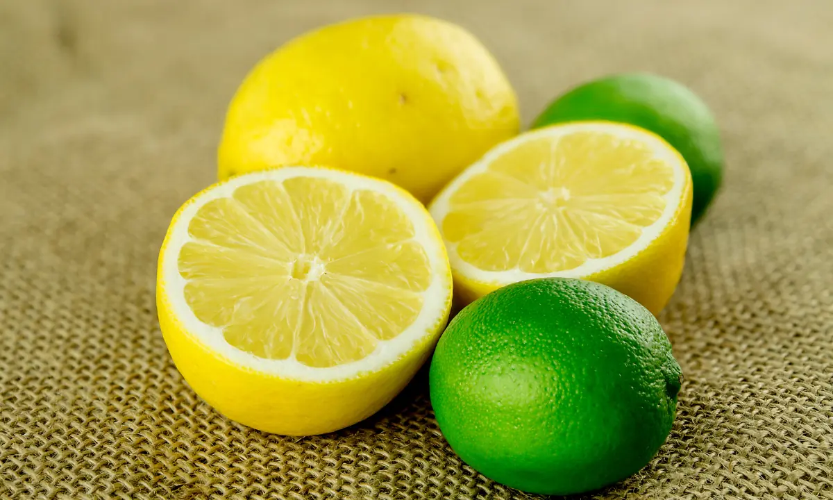 When life gives you lemons &mdash; and limes &mdash; use these recipes to make the most of them