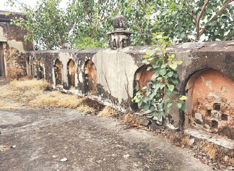 The siblings not &lsquo;nipped in the buds&rsquo; continue to penetrate deep down to the walls and roofs to ruin the structures.