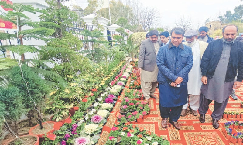 Visitors view flowers at the exhibition held in connection with Jashn-i-Baharan in Attock on Tuesday. &mdash; Dawn