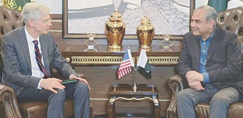 Interior Minister Mohsin Naqvi meets US Assistant Secretary of State for South and Central Asian Affairs John Mark Pomeroy. — APP