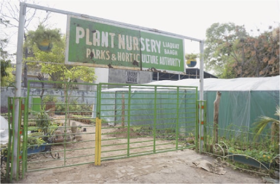 A site allocated in Liaquat Bagh for a nursery. &mdash; Photos by Mohammad Asim