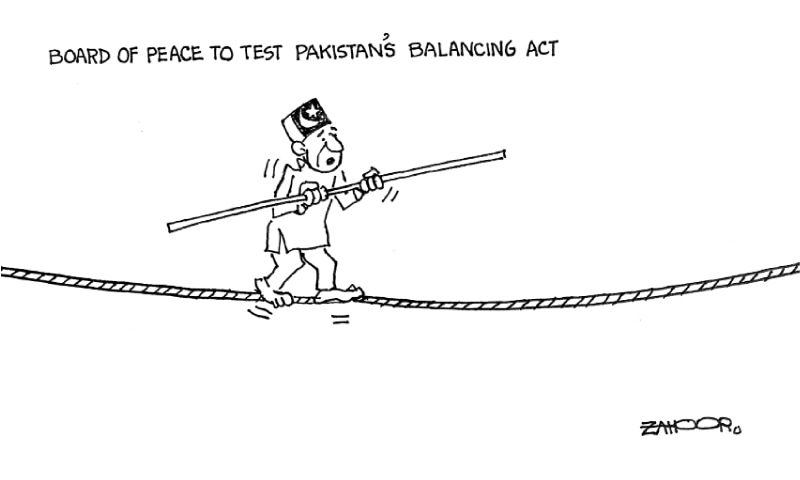 Zahoor's Cartoon