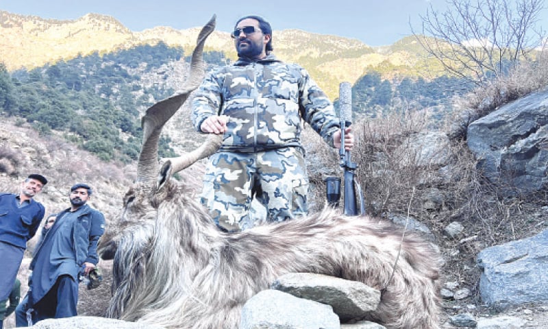 The hunter with his trophy in Mankyal Valley of Bahrain, Swat. — Dawn The hunter with his trophy in Mankyal Valley of Bahrain, Swat. — Dawn
