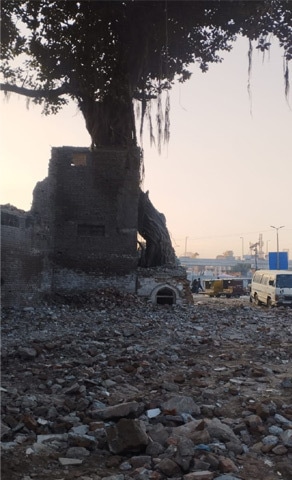 The temple is now surrounded by rubble and only managed to escape the demolition drive because the aerial roots of the peepal tree are intertwined with its structure