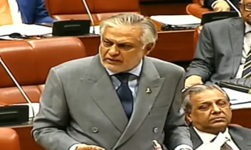 Deputy Prime Minister and Foreign Minister Ishaq Dar addresses the Senate on March 3. &mdash; DawnNewsTV