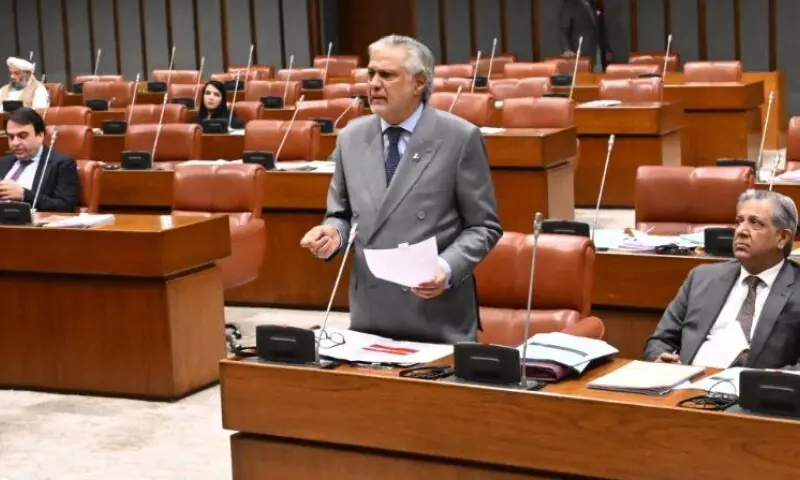 Deputy Prime Minister and Foreign Minister Ishaq Dar addresses the Senate on March 3. &mdash; Photo courtesy Senate of Pakistan/Facebook