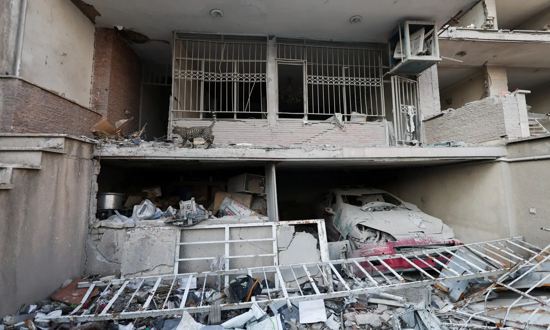 A cat looks for food in a house which destroyed by a strike, amid the US-Israeli conflict with Iran, in Tehran, Iran on March 14. &mdash; Reuters