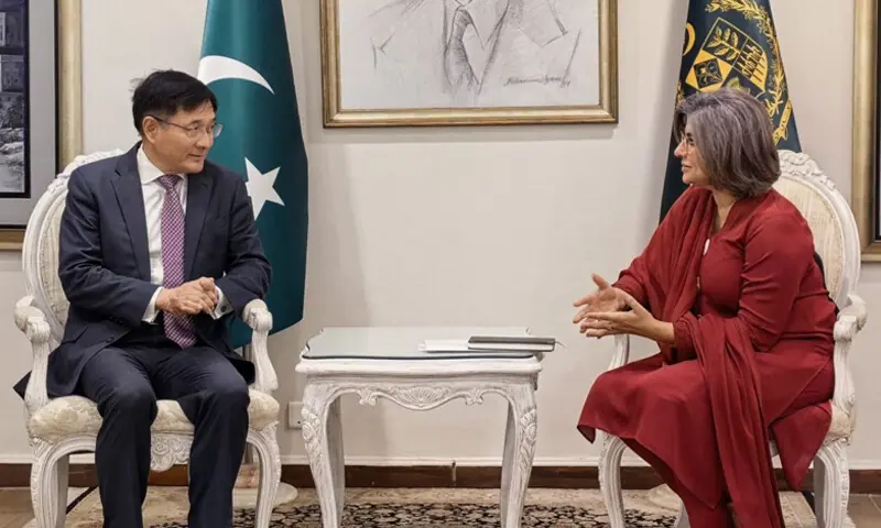 CHINA&rsquo;S special envoy Yue Xiaoyong meets Foreign Secretary Amna Baloch.&mdash;X / stuartyueh