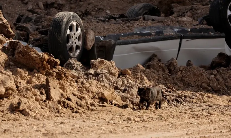 A cat passes by a car lying under debris at the site of a strike on a building in Burj el-Shamali, following an escalation between Hezbollah and Israel amid the US-Israeli conflict with Iran, in Tyre, Lebanon, March 18, 2026. &mdash;Reuters