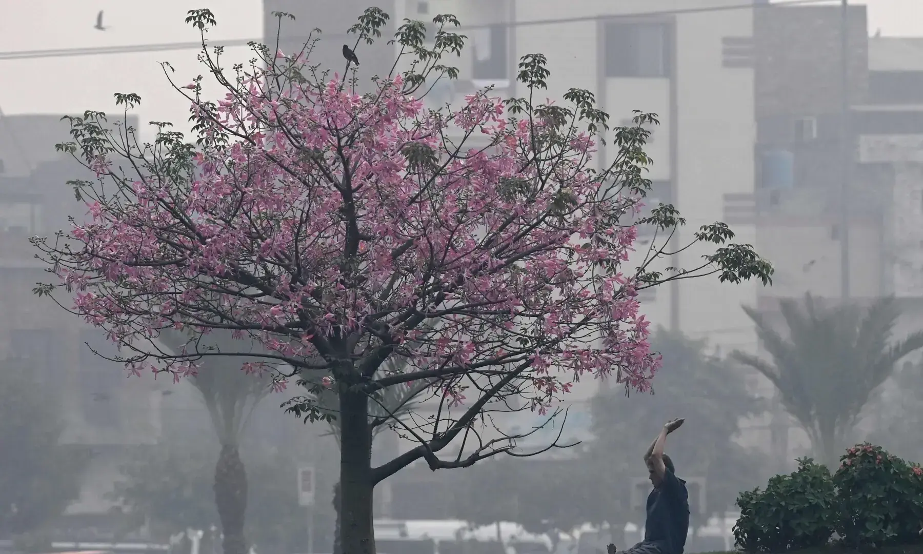 A man exercises in a park amid dense smog in Lahore on Oct 29, 2025. &mdash; AFP/File