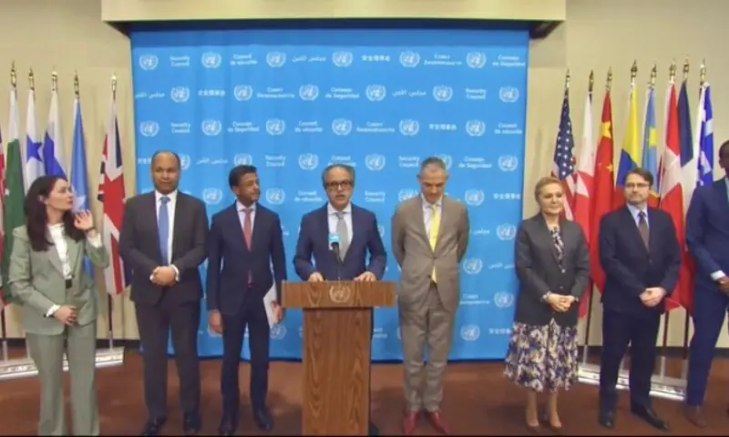 Ambassador Asim Iftikhar Ahmad speaks on rejection of annexation and forcible displacement, in line with UNSC resolutions and comprehensive plan on Tuesday, Mar 24. &mdash;Photo courtesy @PakistanUN_NY/X
