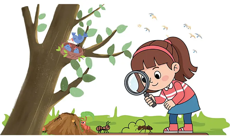 Illustration by Gazein Khan Illustration by Gazein Khan