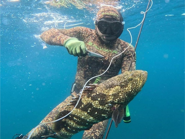 Freediver Akif Raj hunting a grouper underwater | Akif Raj