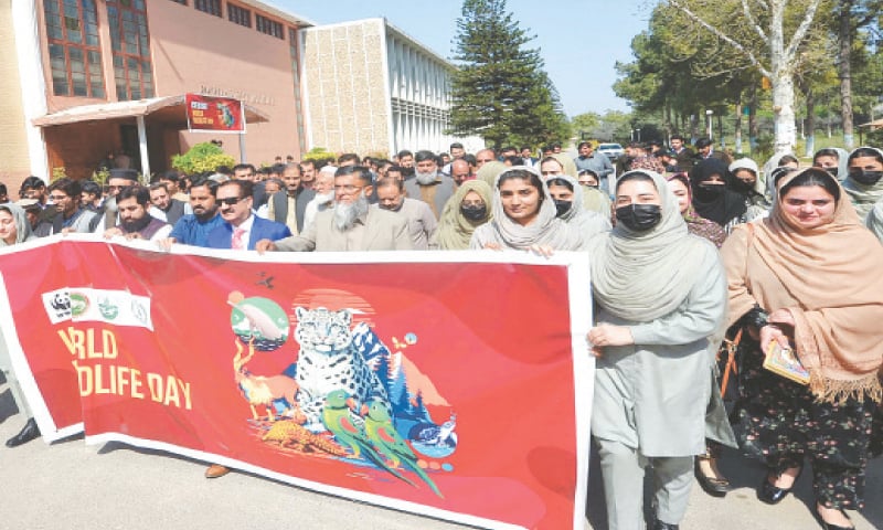 Pakistan Forest Institute staffers stage a walk in Peshawar on Tuesday to mark World Wildlife Day. &mdash; PPI