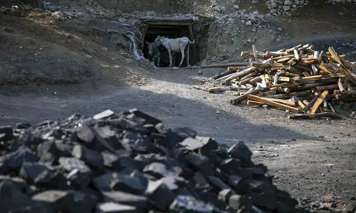 Donkeys stand at the entrance of a coal mine in Pakistan. — Reuters/File Donkeys stand at the entrance of a coal mine in Pakistan. — Reuters/File