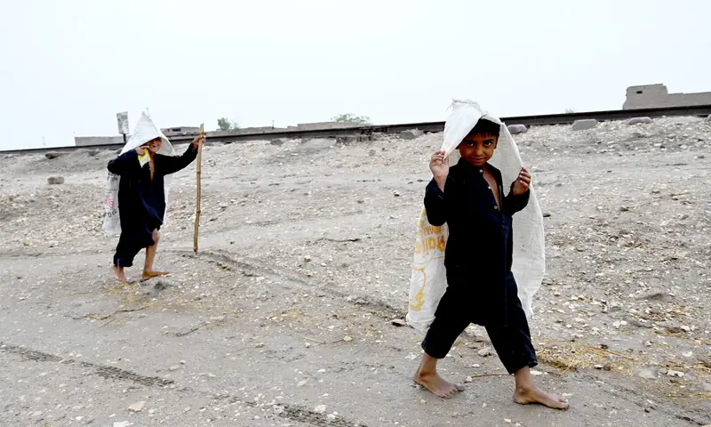 LARKANA: Children walk with sacks over their heads to protect themselves from rain as most parts of the country braces for a new spell of showers . —APP LARKANA: Children walk with sacks over their heads to protect themselves from rain as most parts of the country braces for a new spell of showers . —APP