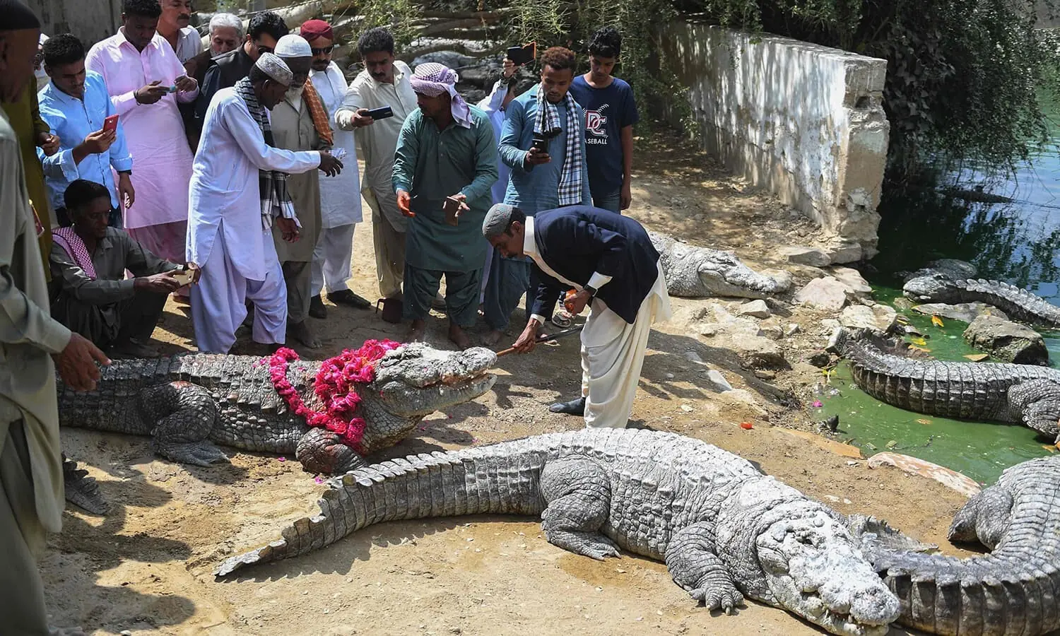 A man can be seen feeding a crocodile in this file photo. — AFP/File A man can be seen feeding a crocodile in this file photo. — AFP/File