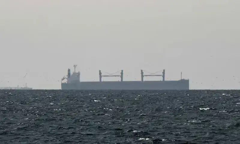 A cargo ship in the Gulf, near the Strait of Hormuz, as seen from northern Ras al-Khaimah. &mdash; Reuters/File
