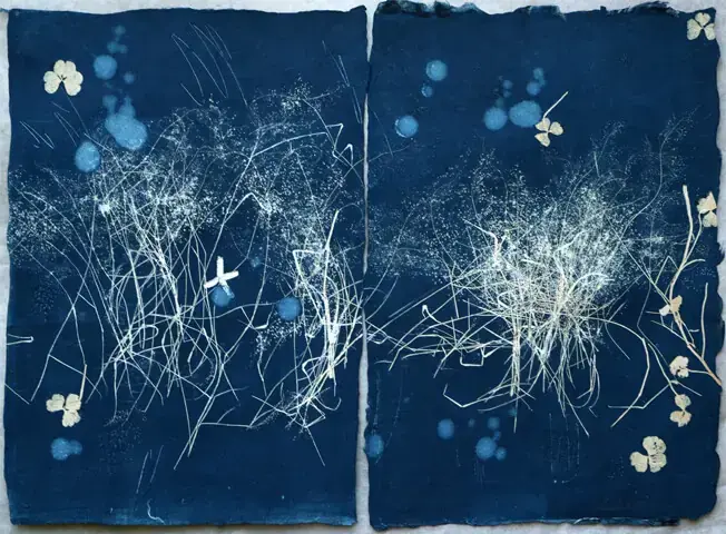 Sabah Husain&rsquo;s latest work creates a lyrical archive of nature, loss and cultural remembrance