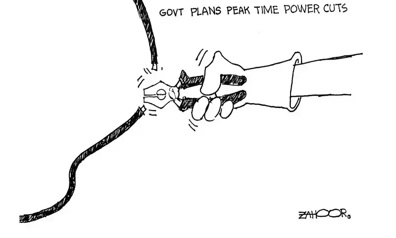 Zahoor&rsquo;s Cartoon