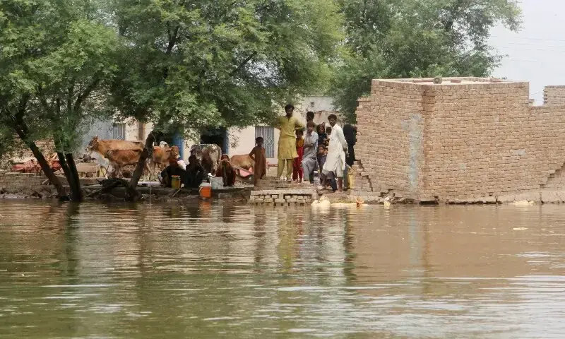 Residents stand at their partially submerged house as they wait to evacuate a flooded area, following monsoon rains and rising water levels of the Chenab River, in Jalalpur Pirwala, Multan, Sept 8, 2025. &mdash; Reuters/File
