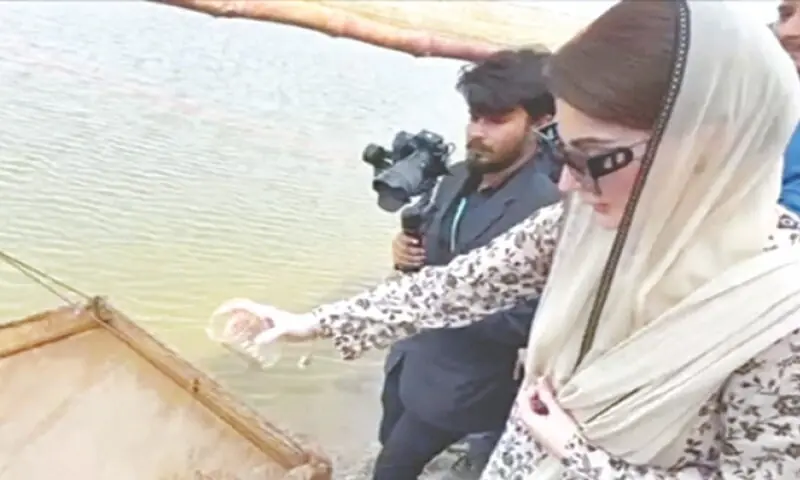 Chief Minister Maryam Nawaz feeds shrimps. —Dawn/File Chief Minister Maryam Nawaz feeds shrimps. —Dawn/File