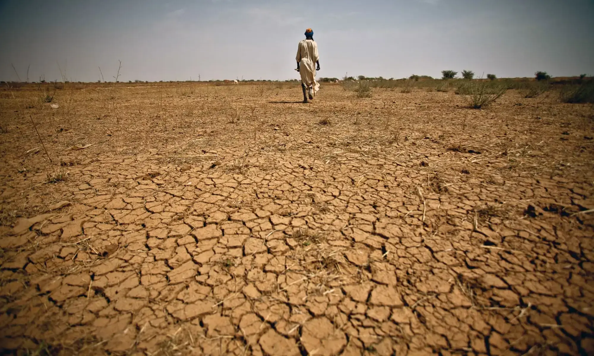 A man walks along a dried-up stretch of land in Balochistan. ─ Photo courtesy Amir Yasin/File