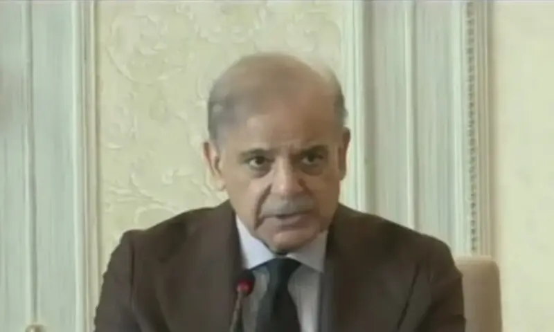 Prime Minister Shehbaz Sharif addresses a meeting of the federal cabinet on April 29. &mdash; DawnNewsTV