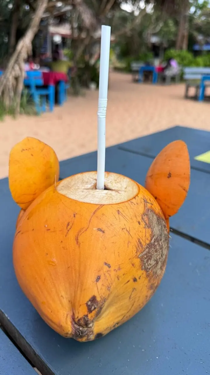  Nothing like a fresh sip of coconut water. 