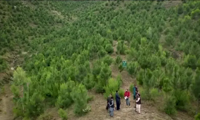 KP sets climate agenda, calls for global cooperation and green economy shift