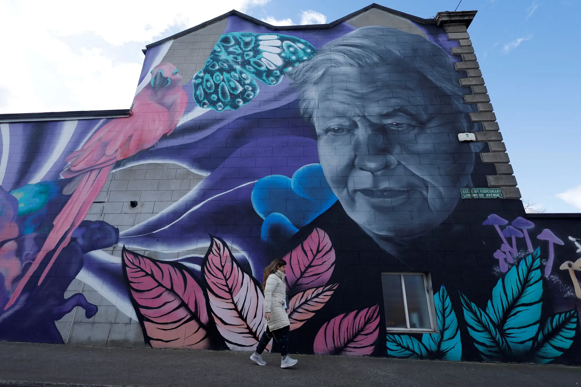 A mural of Sir David Attenborough in Dublin, Ireland.