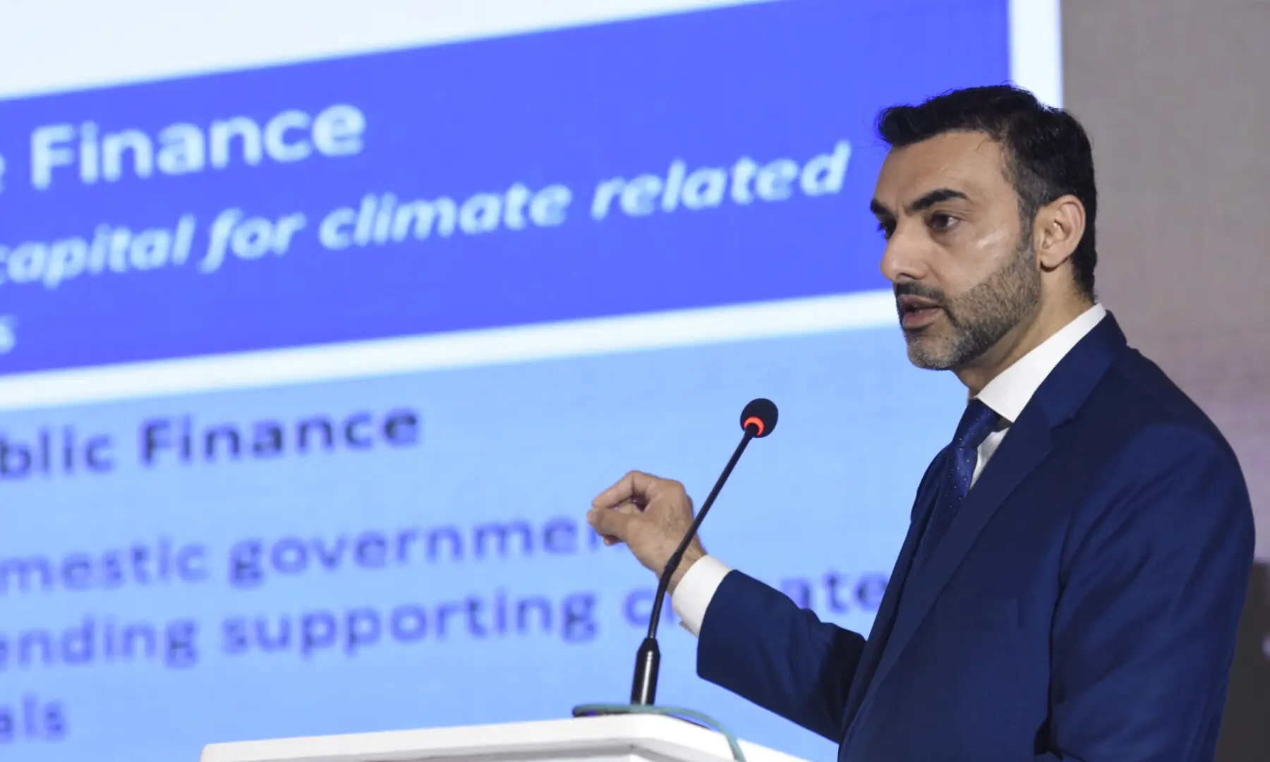 Adeel Abbas, Senior Climate Change Specialist (Regional Climate Lead) at World Bank Group speaks at the Breathe Pakistan conference. &mdash; White Star/Tanveer Shahzad